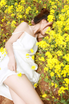 光棍电影完整版免费观看2024年上映的